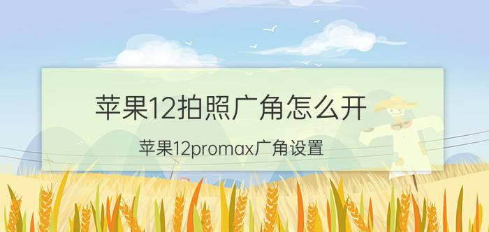 苹果12拍照广角怎么开 苹果12promax广角设置？